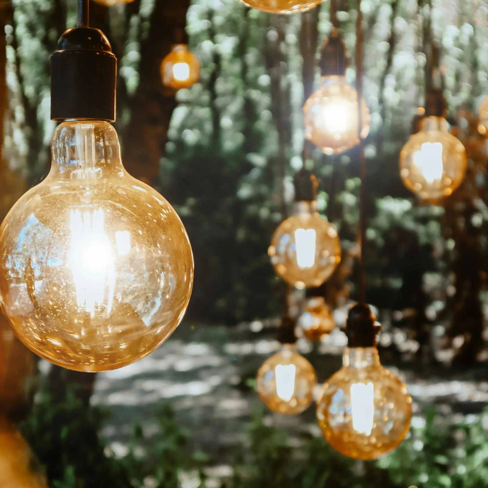 Outdoor Lights