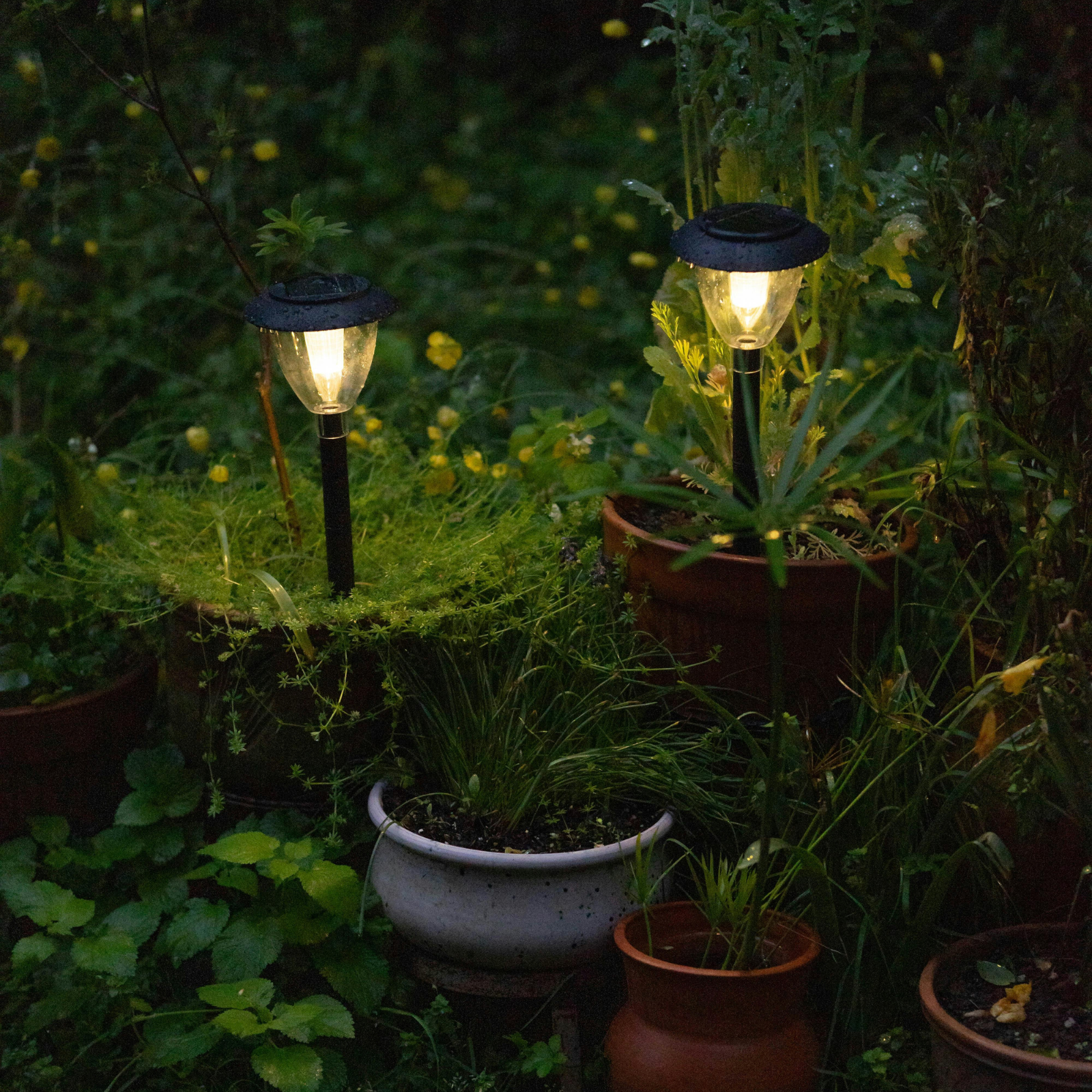 Gardren Lights