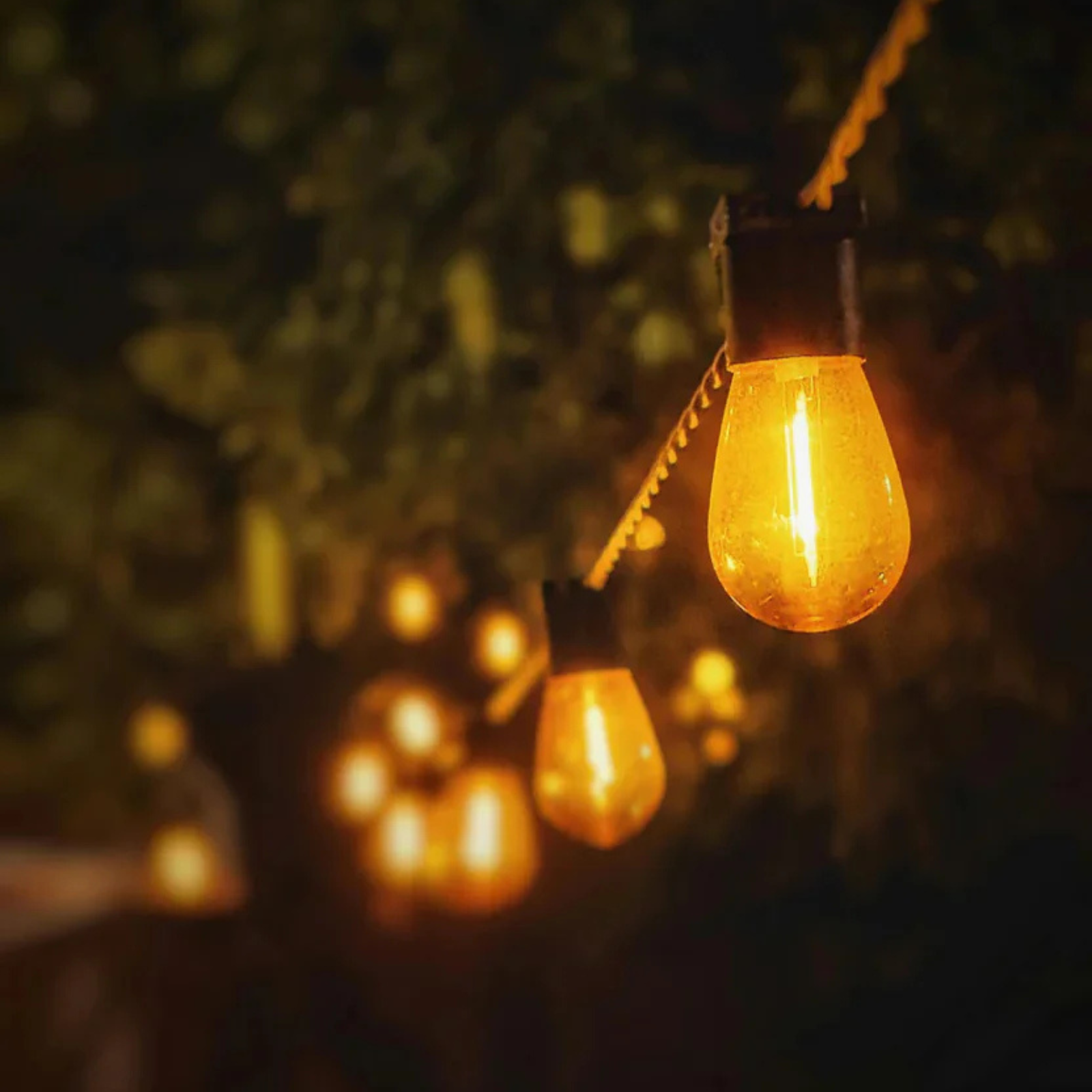 Outdoor Night Lights