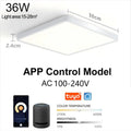 Smart Wood Grain Ceiling Lamp