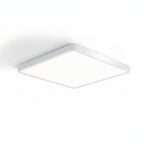 Smart Wood Grain Ceiling Lamp