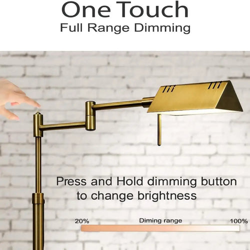 Dimmable LED Floor Lamp
