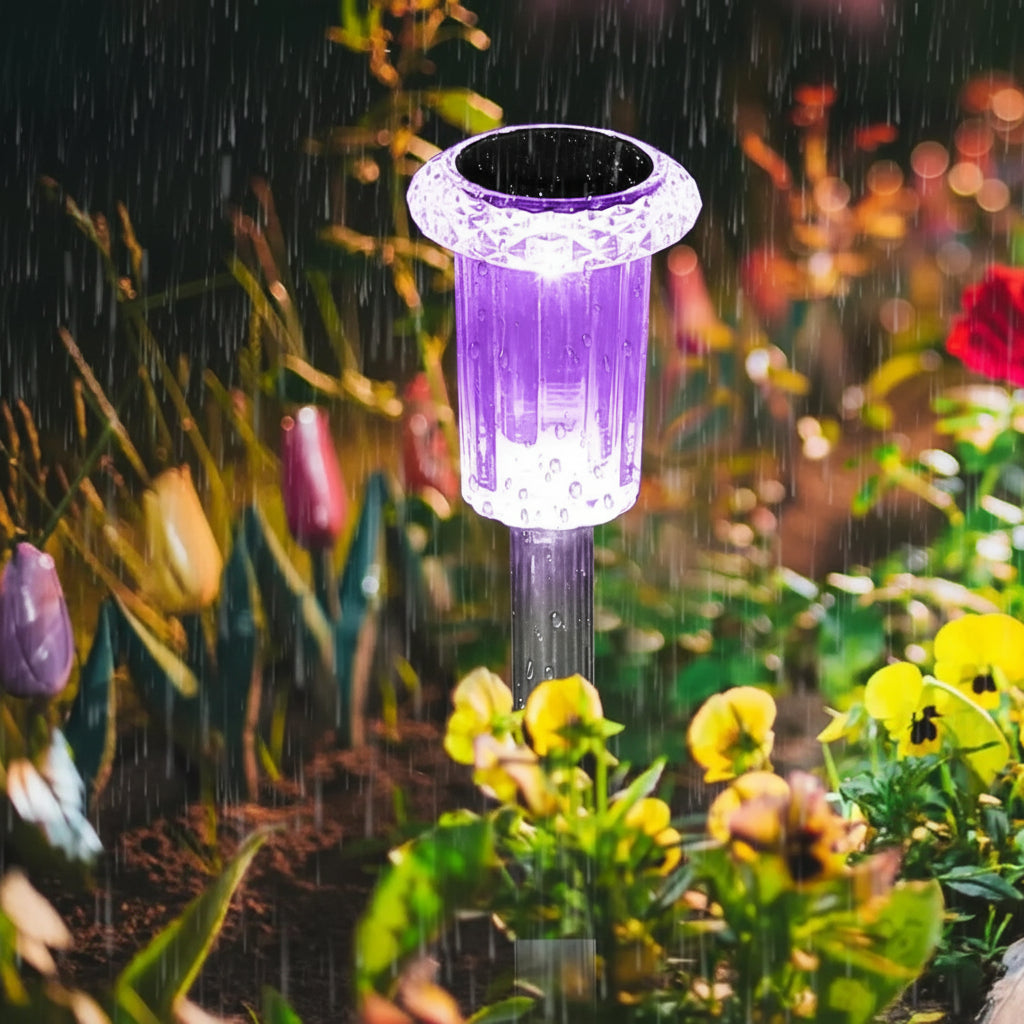 Outdoor Solar Pathway Light Decor